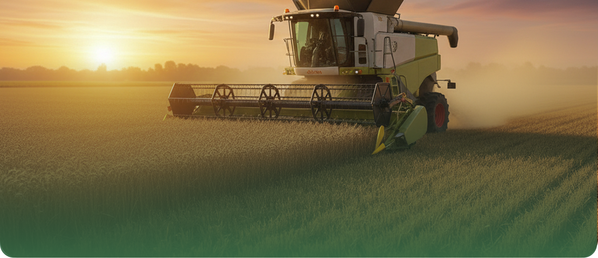Cosechadora trabajando en un campo de trigo al atardecer, con degradado verde de marca